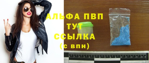 прущие грибы Волоколамск