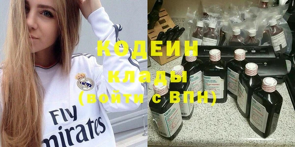 прущие грибы Волоколамск
