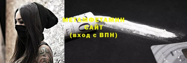 прущие грибы Волоколамск