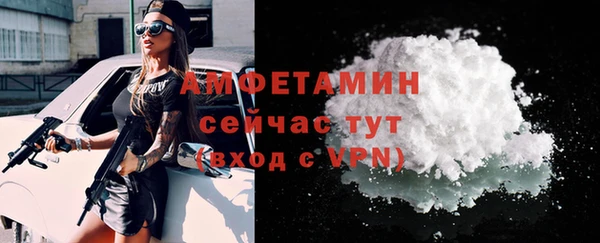 прущие грибы Волоколамск