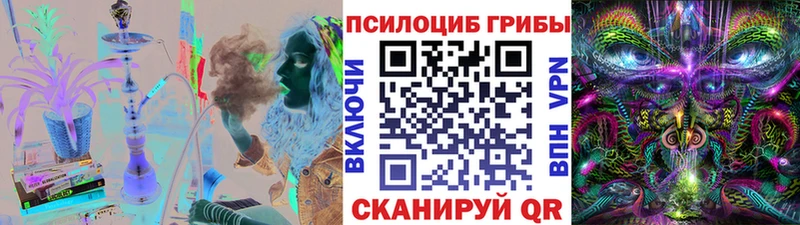 Псилоцибиновые грибы Psilocybe  Уфа 